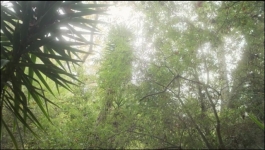 This Fool - Season 01 Episode 07